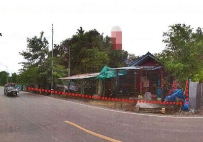 ขายบ้านพร้อมที่ดิน เมืองพิจิตร พิจิตร (PAP-1-0448)