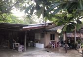 ขายบ้านเดี่ยว อำเภอเดิมบางนางบวช สุพรรณบุรี (PAP-5-0087)