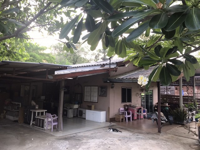 ขายบ้านเดี่ยว อำเภอเดิมบางนางบวช สุพรรณบุรี (PAP-5-0087)