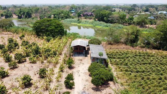 บ้านสวนติดน้ำปิงพร้อมสวนลำไยและที่งอก ป่าซางลำพูนเดินทางสะดวก