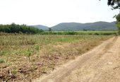 พื้นที่ดิน ที่ดินบ้านโป่งตะขบ อ.วังม่วง จ.สระบุรี ขนาดพื้นที่ 6911 ตรว. 6500000 บ. ใกล้ ห่างจากเขื่อนป่าสักชลสิทธิ์ ประมาณ 15 กม. มือสอง