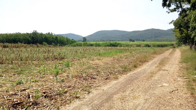 พื้นที่ดิน ที่ดินบ้านโป่งตะขบ อ.วังม่วง จ.สระบุรี ขนาดพื้นที่ 6911 ตรว. 6500000 บ. ใกล้ ห่างจากเขื่อนป่าสักชลสิทธิ์ ประมาณ 15 กม. มือสอง