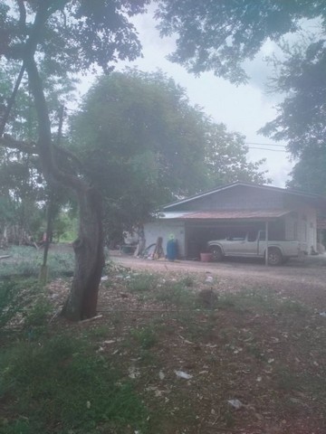ขายที่ดินพร้อมสวนผลไม้ โซนทุ่งเบญจา อ.ท่าใหม่ จ.จันทบุรี FP-L0127