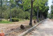 ขายที่ดินจัดสรร กาญจนบุรี ด่วนพื้นที่ 2ไร่สะอาด สงบ สะดวก ปลอดภัย