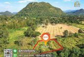 Land for urgent sale near the entrance to Khao Yai, 1 Rai 3 Ngan 18 Sq w, Moo Si, Pak Chong, Nakhon Ratchasima