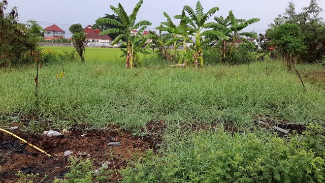 พื้นที่ดิน ที่ดิน ลำโพ 0 Rai 1 งาน 40 sq.wa 2800000 – ราคาดี นนทบุรี