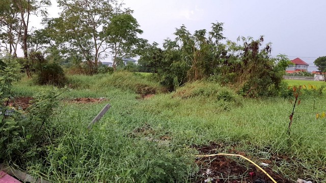 พื้นที่ดิน ที่ดิน ลำโพ 0 Rai 1 งาน 40 sq.wa 2800000 – ราคาดี นนทบุรี