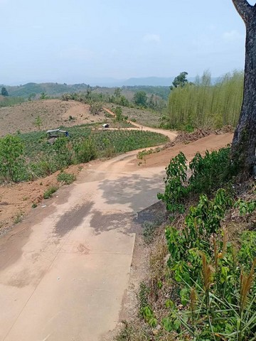 พื้นที่ดิน ที่ดิน ต.ปอน อ.ทุ่งช้าง จ.น่าน 408 RAI 1 NGAN 3 ตาราง-วา ใกล้กับ ห่างด่านตรวจคนเข้าเมืองไทยลาวประมาณ 25 กิโลเมตร ONE PRICE!