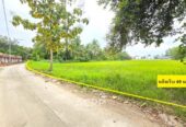 ขายที่ดินใน ต.สันทรายหลวง อ.สันทราย จ.เชียงใหม่ เนื้อที่ 3 ไร่